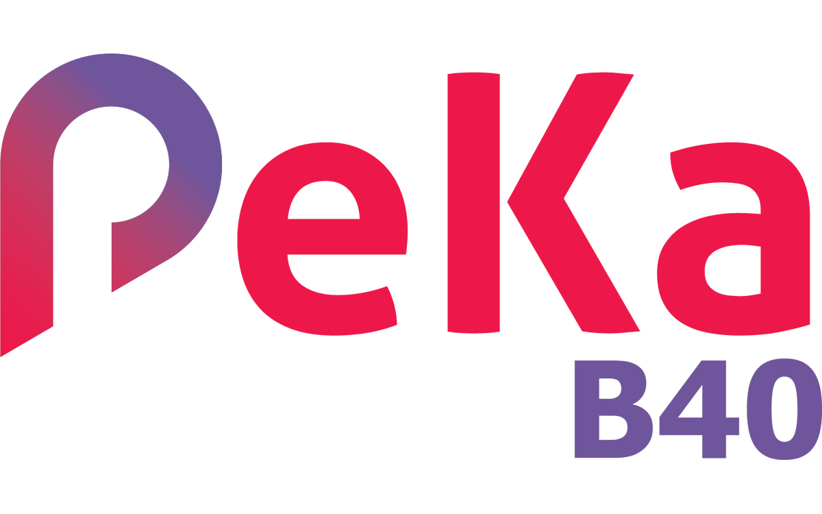 PekaB40